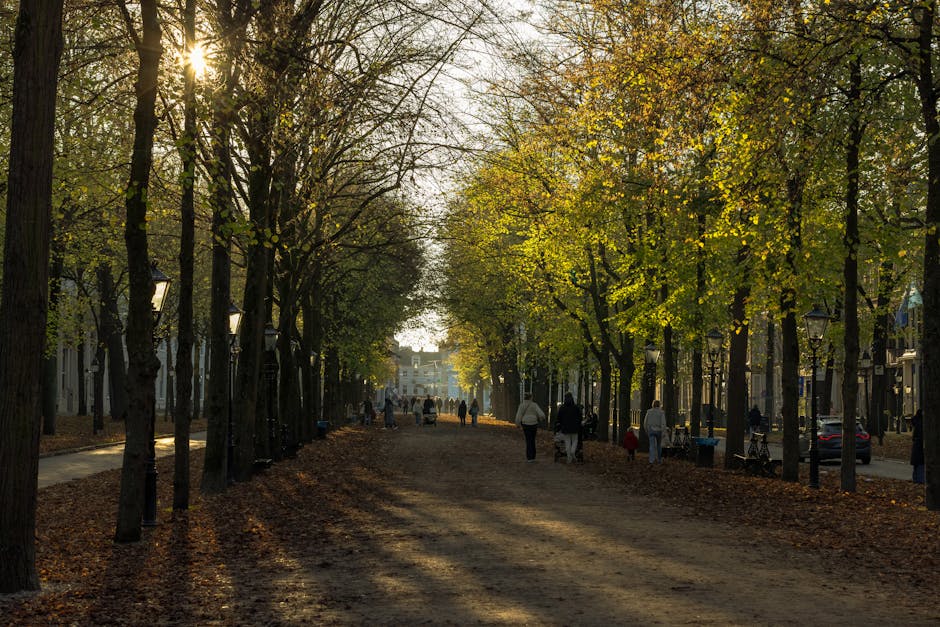 A narrow, paved street viewed through a large stone archway inscribed with 'HOLLAND PARK MEWS,' leading into a residential area lined with houses and fences on either side. The street has yellow line 