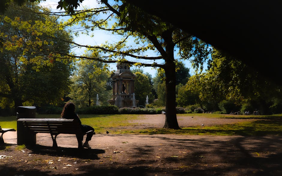 A person seated alone on a dark metal park bench with wooden slats, facing a large, mature tree with green and yellow leaves. The person, with curly hair, is wearing dark clothing and appears to be observing the surrounding park landscape. In front of them, there is a wide-open grassy area with patches of bare earth and scattered fallen leaves, illuminated by sunlight filtering through the tree canopy. In the distance, a decorative stone fountain with classical architecture, including arches and sculptures, is visible, surrounded by well-maintained flower beds and greenery. The park environment has lush trees, open space, and pathways, creating a peaceful setting. This scene may evoke elements of home relocation or moving logistics, with the park serving as the backdrop for relaxed moments amid furniture transport or packing procedures, reflecting the tranquil process of transition often associated with house removals.